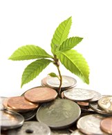 En 2020 habrá un millón más de empleos verdes