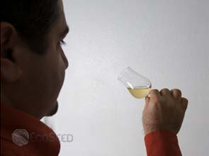 Craving for Organic: an account of an organic liquor maker’s journey to sustainability