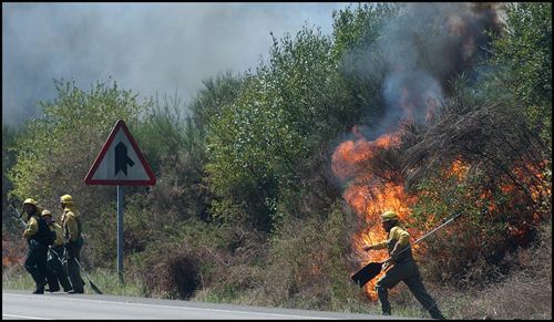 Desciende un 80 por ciento la superficie arrasada por el fuego en 2010