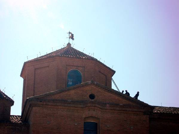 Sanción insuficiente por la destrucción de nidos de cigüeña en Alcolea de Cinca (Huesca)