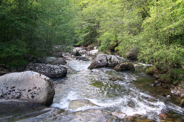Juicio a los dos acusados del vertido al Besaya que mató a 40.000 peces