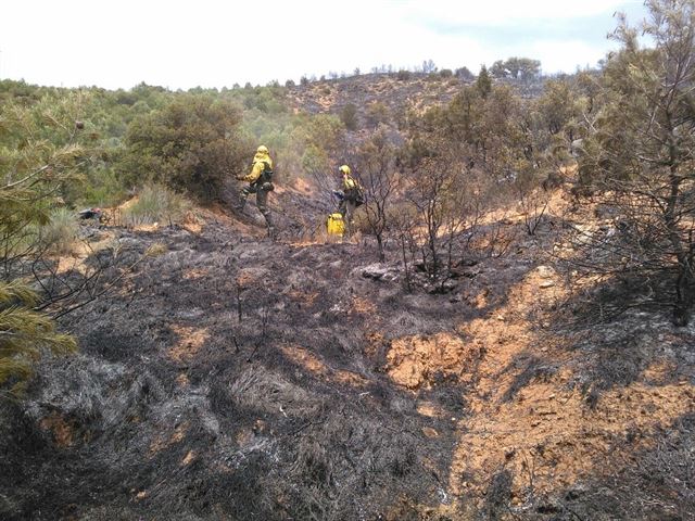 Recomendaciones para evitar los incendios forestales este verano