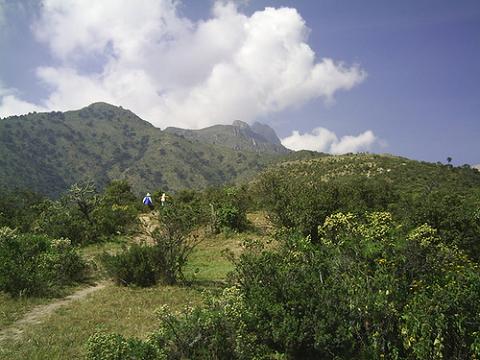 Promueven cuidado y uso sostenible de los bosques con documental “Perú hacia un camino verde