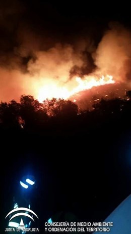 Junta: Andalucía registra un 25% más de incendios en lo que va de temporada que en 2016