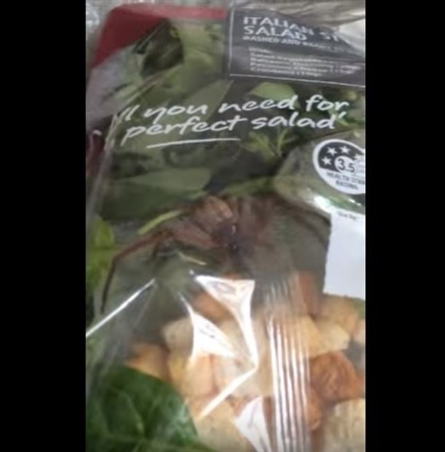 Una araña gigante en la ensalada (Vea VIDEO)