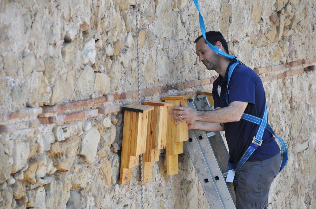 Los murciélagos del río Turia