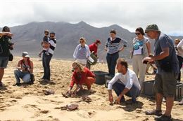 Alemania se interesa por la suelta de tortugas en Fuerteventura