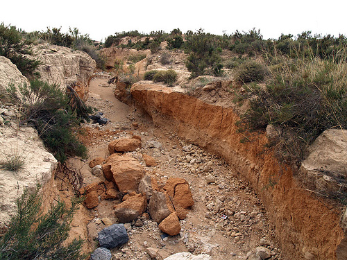 Un oasis en tierra degradada