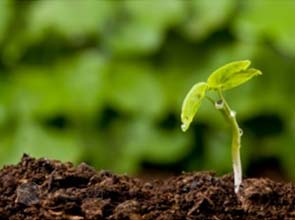 House passes three-week budget cutting $30 million from environment