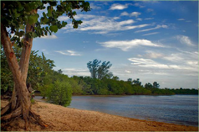 Curso formativo de gran nivel online sobre gestión y análisis de paisaje