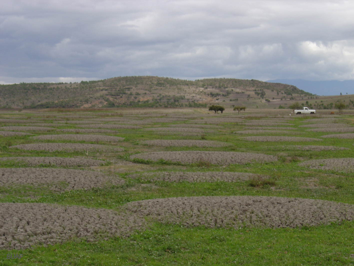 Emplean lodos generados por las plantas de tratamiento para restaurar superficies agrícolas en Puebla
