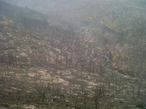 Recurren al Fondo Europeo de Solidaridad de la UE para paliar los daños del incendio de La Gomera