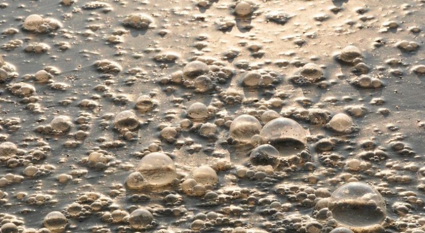 Fiscalía abre investigación penal a Ercros por posibles filtraciones contaminantes