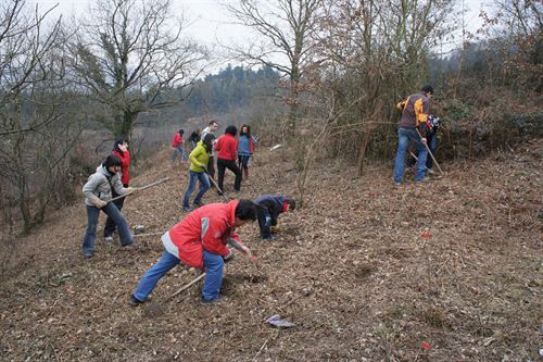 Diputación Foral de Bizkaia repartirá más de 29.000 árboles entre sus municipios