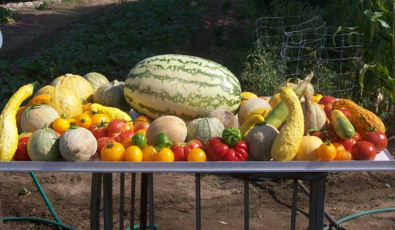 Cambio radical en los cultivos por el Cambio Climático