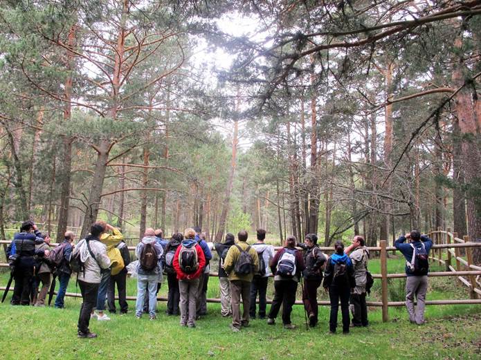 Domingo 8 de mayo excursión El bosque a través de los ojos de sus habitantes muestra el comportamiento animal y vegetal en Valsaín