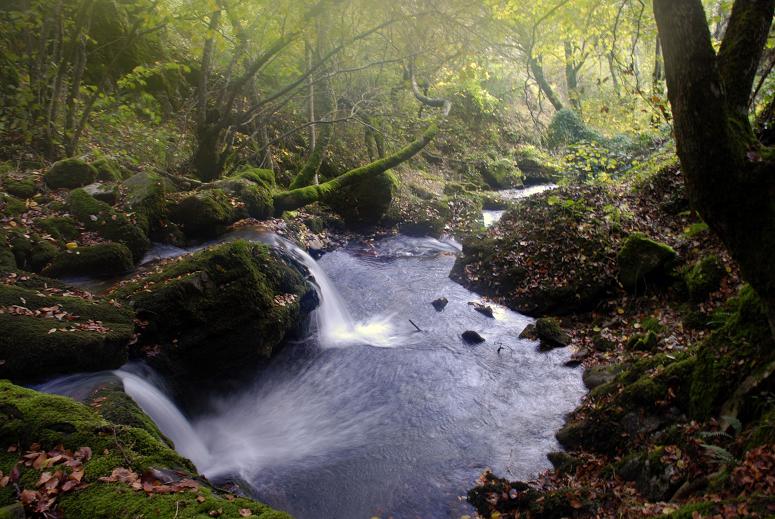 Los recursos naturales de la Reserva Alto Bernesga