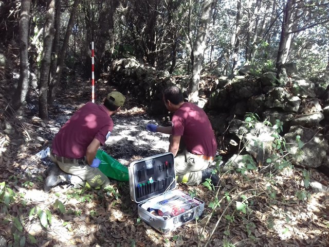 El Cabildo de Tenerife forma a agentes medioambientales en la investigación de incendios forestales