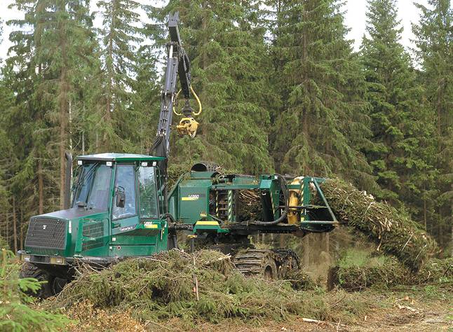 El sector forestal necesita medidas urgentes