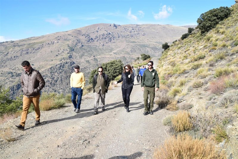 Cientos de kilómetros de caminos forestales serán mejorados en Granada