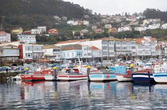 Sostenibilidad ambiental