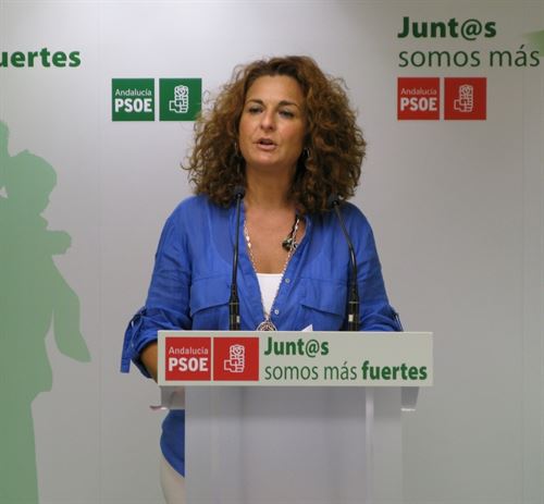 PSOE quiere que se suspendan los proyectos de prospecciones de gas en la Costa del Sol