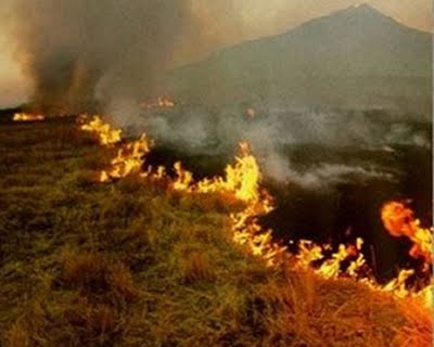 Junta recomienda extremar las precauciones en las quemas agrícolas dadas las altas temperaturas