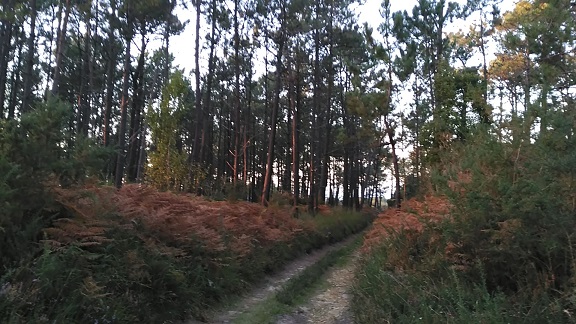 Asturias. No se puede legalizar el proyecto ilegal de cantera de Barcia aunque el Ayuntamiento la quiera