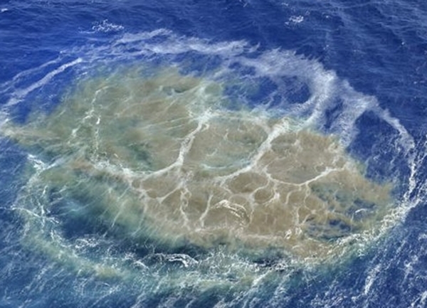 Estudian la repercusiones del ecosistema del entorno al volcán submarino de El Hierro