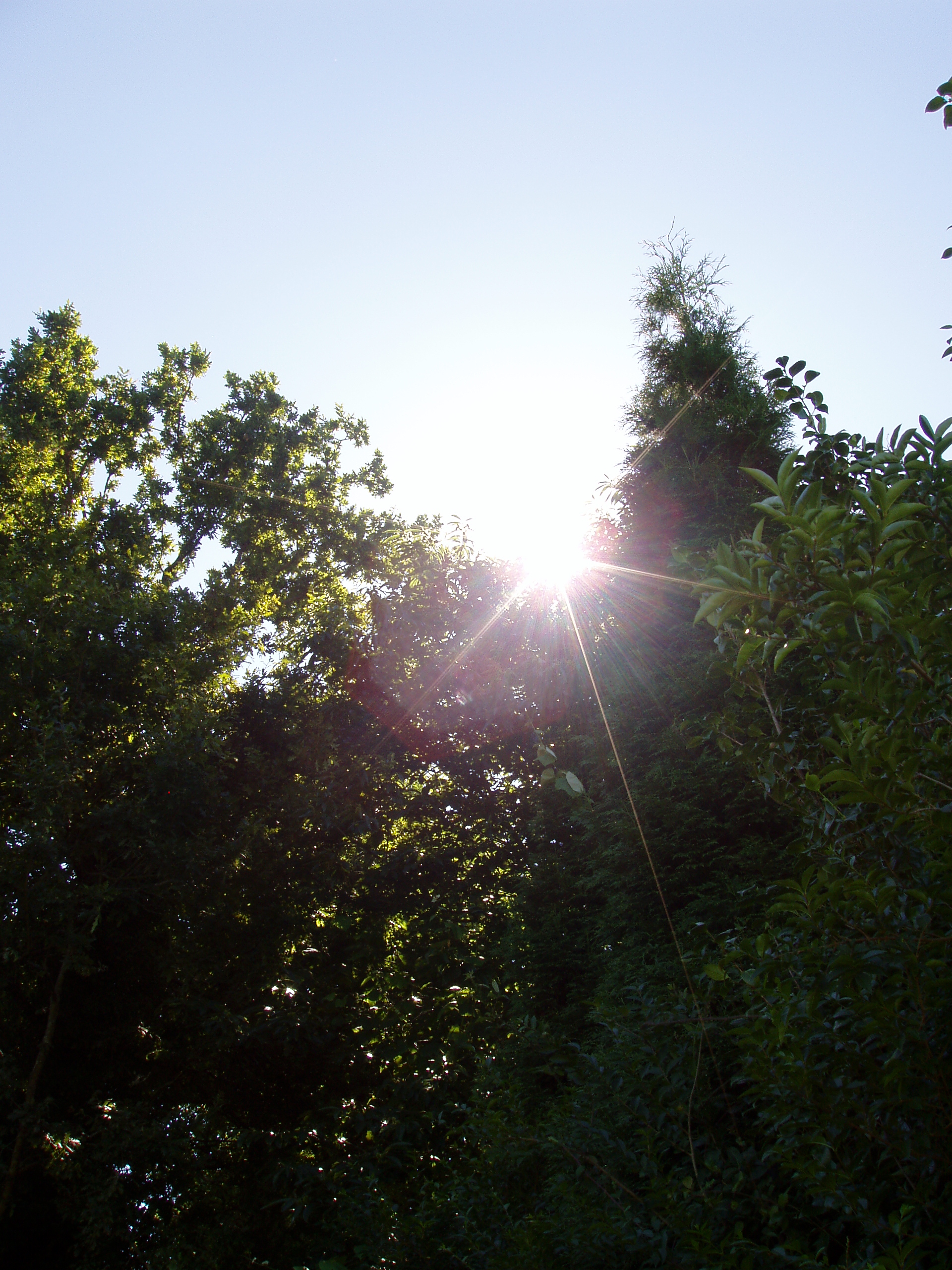 EL 75% de los europeos demandan más acción medioambiental de la UE