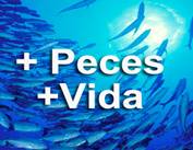 WWF pide la colaboración de los ciudadanos para reformar la Política Común de Pesca de la UE