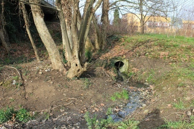 Ecologistas denuncian 21 puntos de vertido al Saja