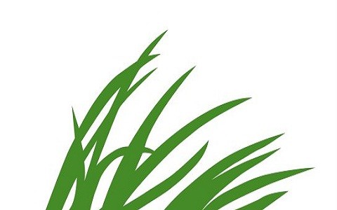 La Red emprendeverde celebra el encuentro Jóvenes emprendedores verdes en Sevilla