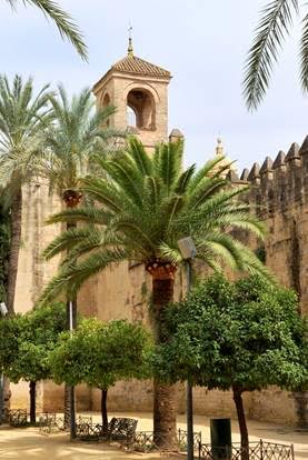 El Ayuntamiento de Córdoba planta 1.171 árboles en el último año