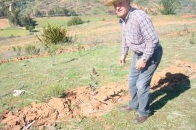 Gobierno envía proyecto al Congreso Nacional para fortalecer la forestación