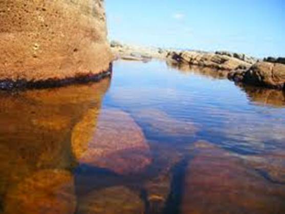 Restos de medicamentos en las aguas superficiales