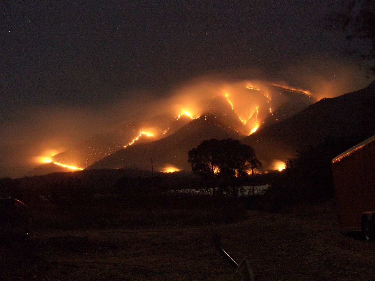 El incendio del lago Chapala afecta a miles de seres vivos
