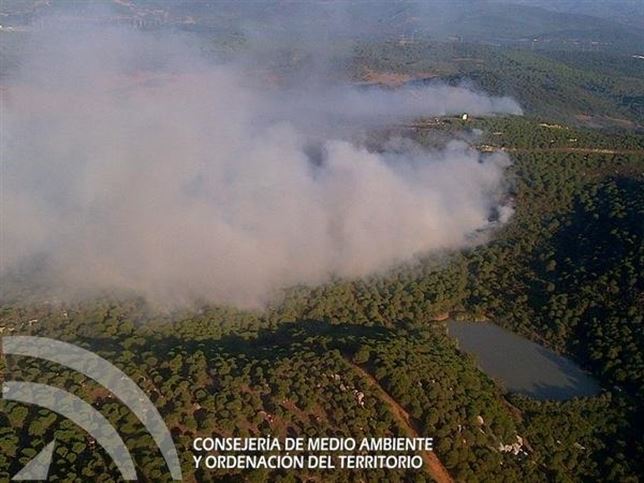 Siguen los trabajos en el incendio forestal de San Roque (Cádiz)