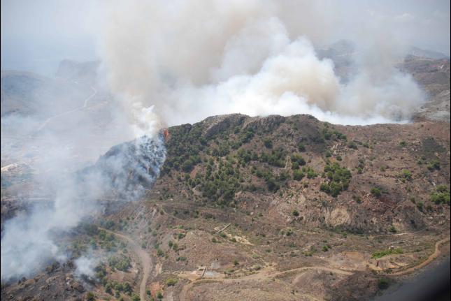 Diez años para la recuperación de la zona quemada en Sierra de Atamaría