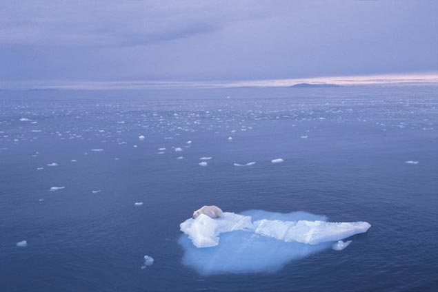 El magnetismo terrestre permite seguir el calentamiento de los océanos