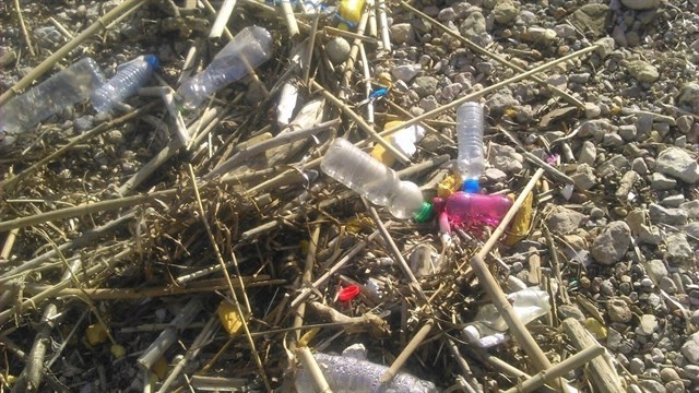 Cruz Roja recoge 677 kilos de residuos del litoral de Mallorca