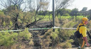 Más de 7.000 personas en riesgo de exclusión participan en conservación de Parques