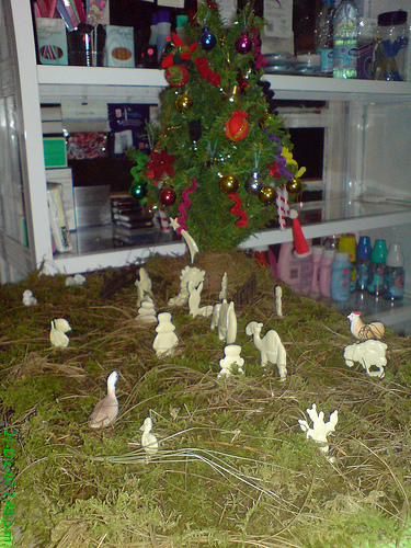 Ingenieros de montes venderán árboles de Navidad naturales y "solidarios" para luchar contra el cambio climático