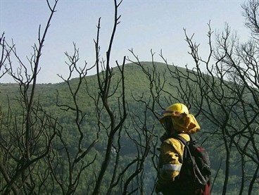 La Junta da por controlados 5 fuegos que se han originado esta tarde en Ávila