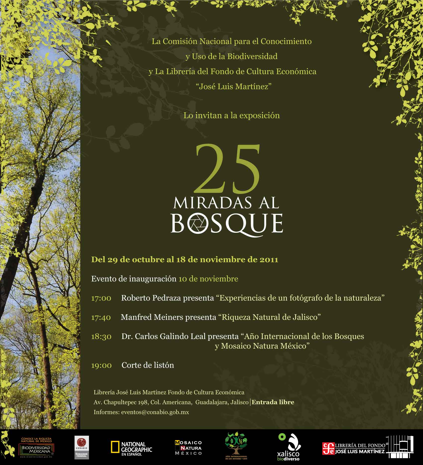 25 miradas al bosque