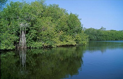 El Proyecto Tierra de Opel recorre cuatro de los ecosistemas más amenazados del planeta