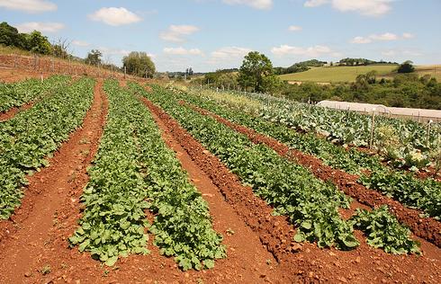 La Consejería de Agricultura apuesta por el ahorro energético y el uso de energías limpias en la Campiña Norte de Jaén