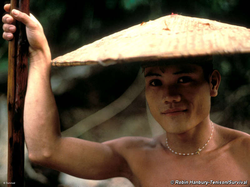 Victoria para pueblo indígena de Borneo sobre gigante de la palma de aceite