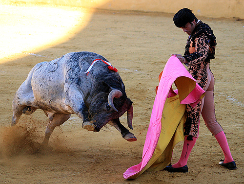 Los Verdes llevará al Parlamento andaluz una Iniciativa Legislativa Popular para abolir las corridas