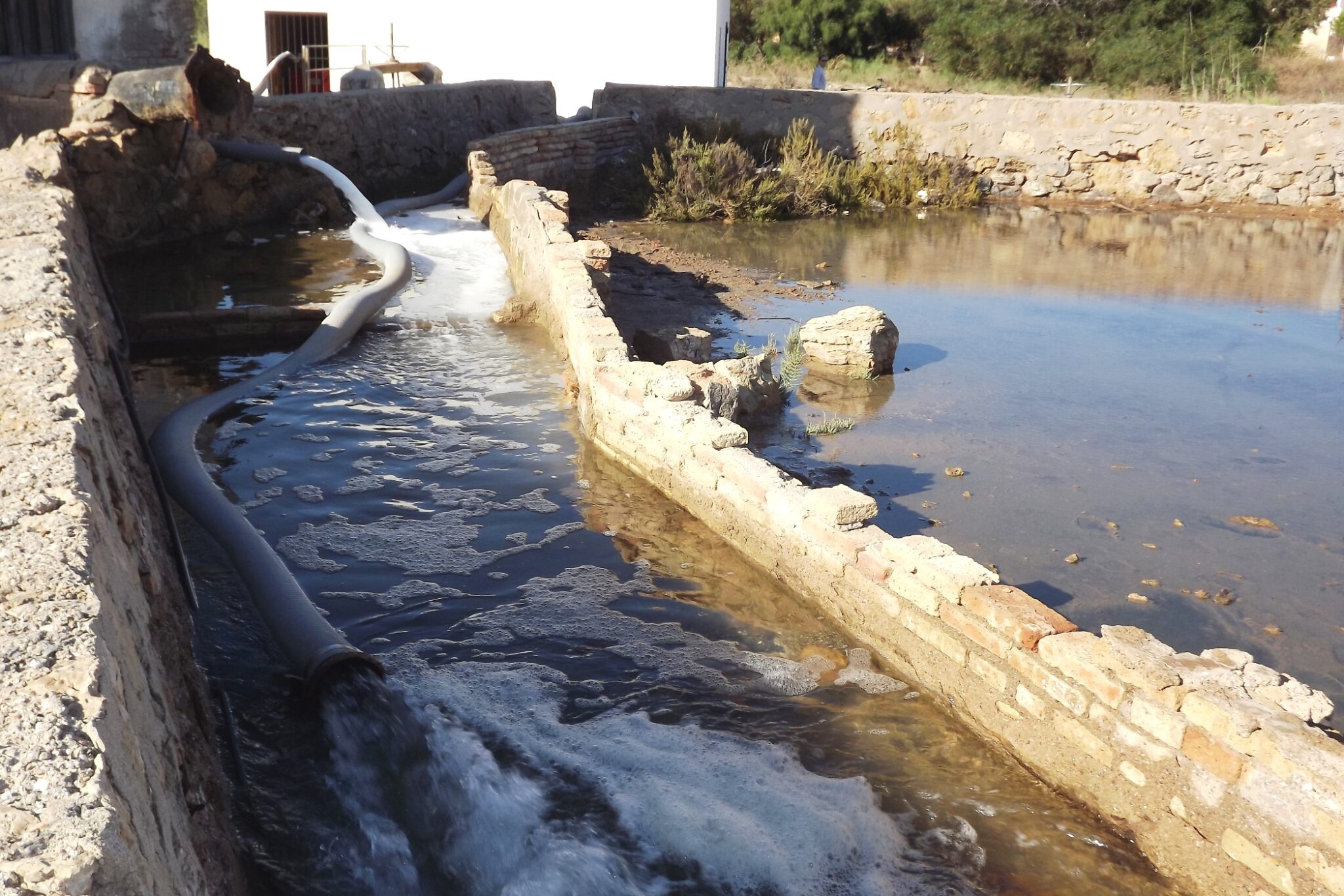 MÁS Agua para las Marismas de Marchamalo (Mar Menor)